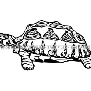 Angry Turtle SVG, Schildkröte SVG, Schildkröte SVG, Schildkröte Clipart, Schildkröte Clipart, Schildkröte Cut Dateien für Silhouette, Png, Dxf