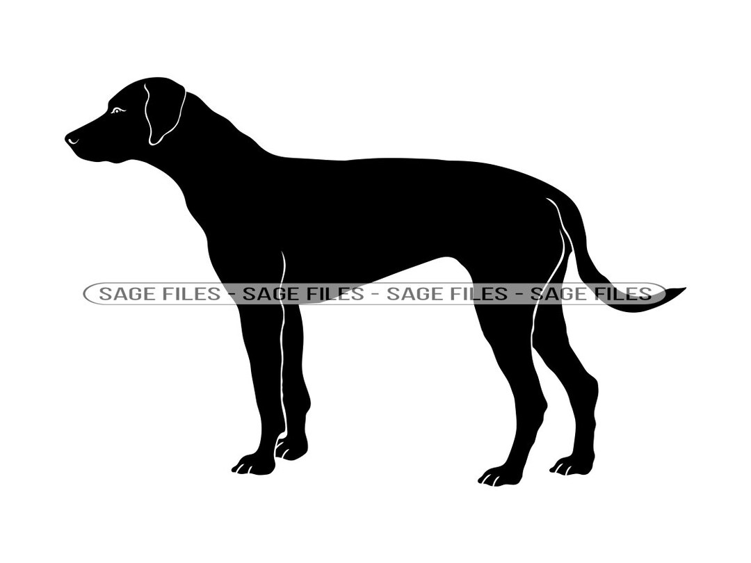 Rhodesian Ridgeback SVG, Dog Svg, Rhodesian Ridgeback Clipart ...