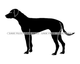 Rhodesian Ridgeback SVG, Dog Svg, Rhodesian Ridgeback Clipart, Rhodesian Ridgeback Files for Cricut, Cut Files For Silhouette, Png, Dxf