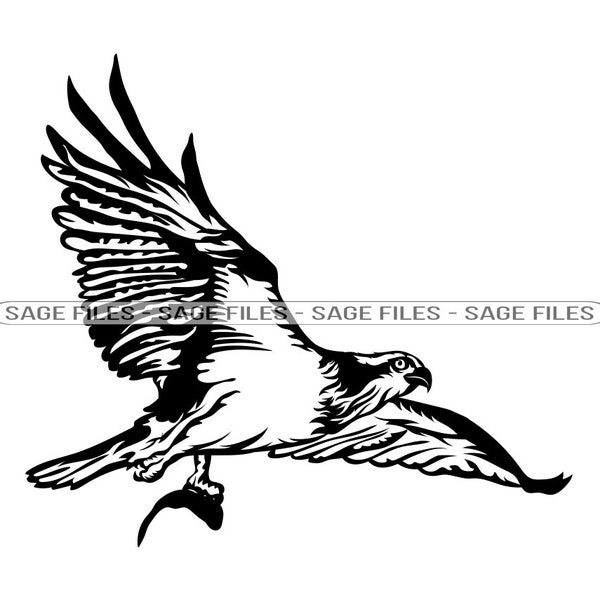 Osprey SVG, Bird Svg, Predator Svg, Osprey Clipart, Osprey Files for Cricut, Osprey Cut Files For Silhouette, Png, Dxf