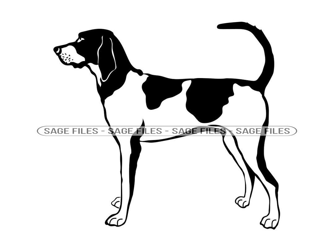 直筆サイン入 HOUND DOG「we are the HOUND DOG」 il_1080xN.4114741583_apzx.jpg
