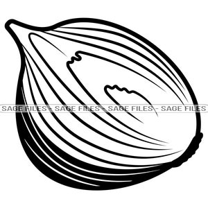 Onion SVG, Vegetable Svg, Onion Clipart, Onion Files for Cricut, Onion Cut Files For Silhouette, Png, Dxf