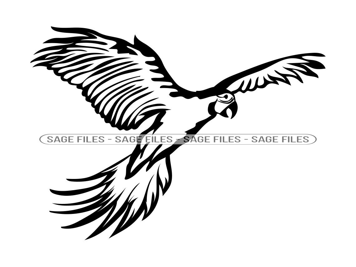 Macaw Clipart Black And White