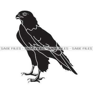 Hawk SVG, Bird Svg, Hawk Clipart, Hawk Files for Cricut, Hawk Cut Files For Silhouette, Png, Dxf