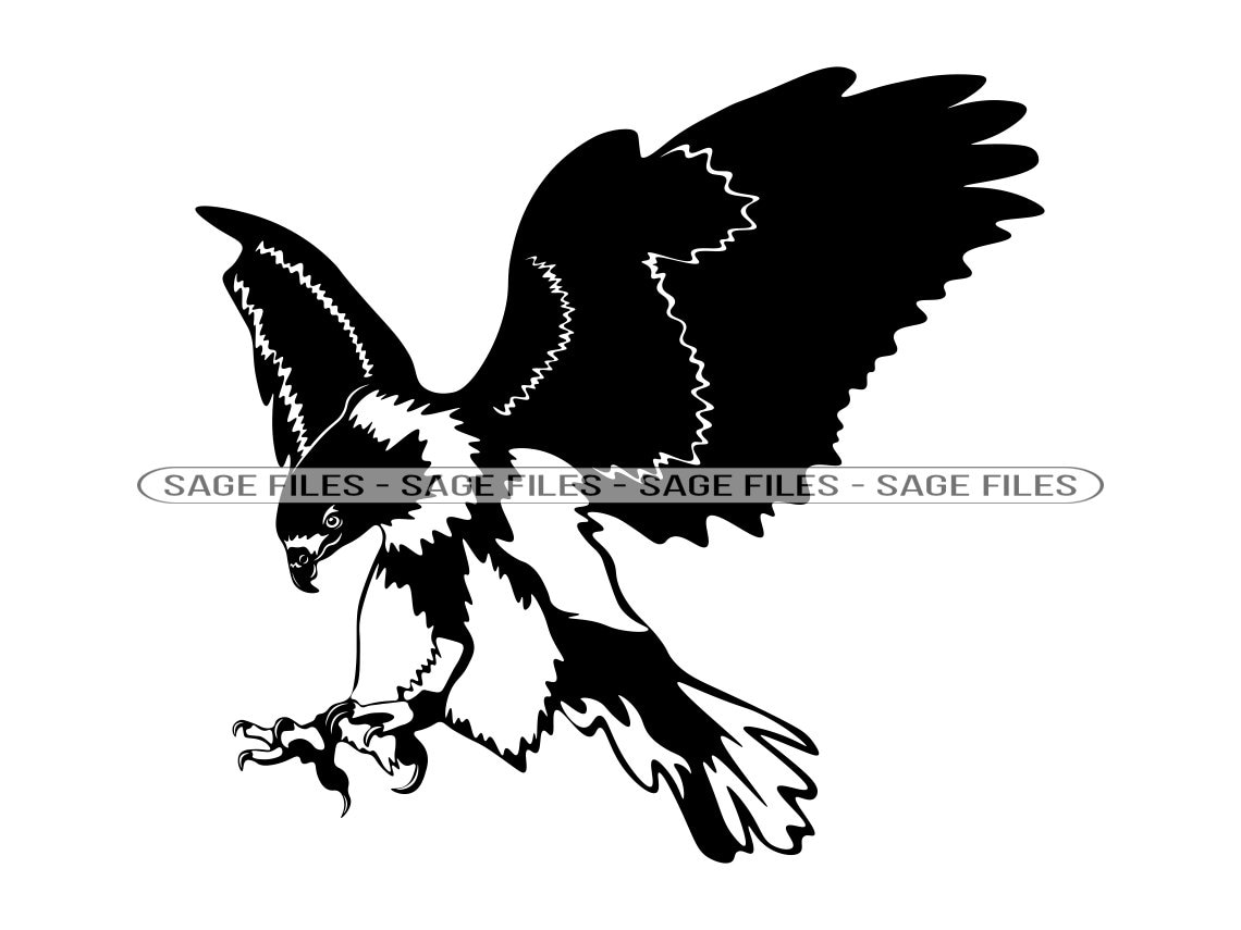 Hawk 5 SVG Hawk SVG Hawk PNG Hawk Design Hawk Clipart - Etsy