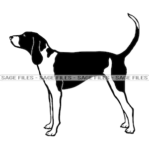 Treeing Walker Coonhound SVG, Dog Svg, Treeing Walker Coonhound Clipart, Files for Cricut, Cut Files For Silhouette, Png, Dxf