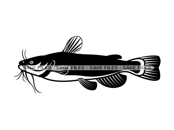 Clipart Catfish
