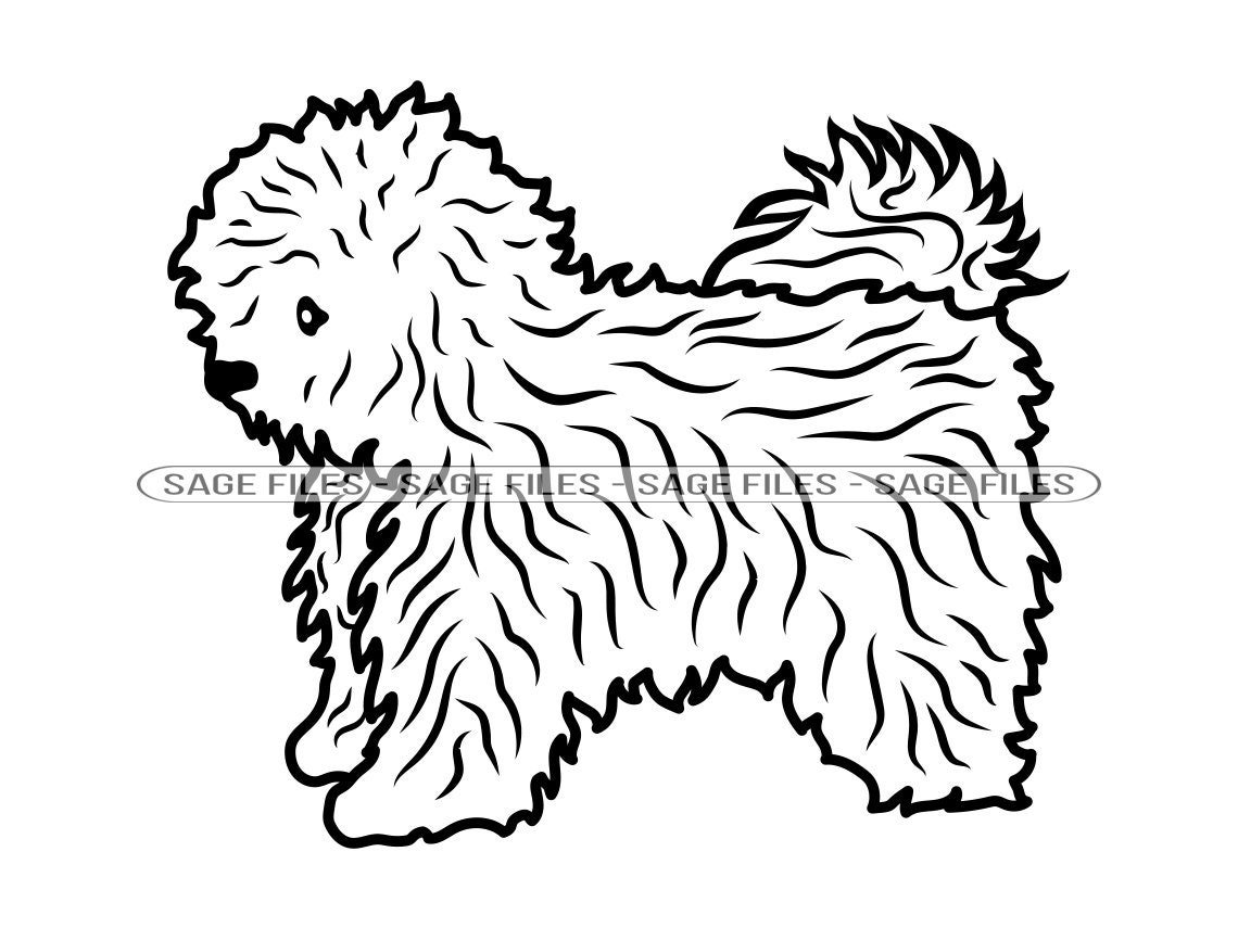 Bolognese SVG Bolognese Dog Svg Bolognese Clipart Bolognese Etsy