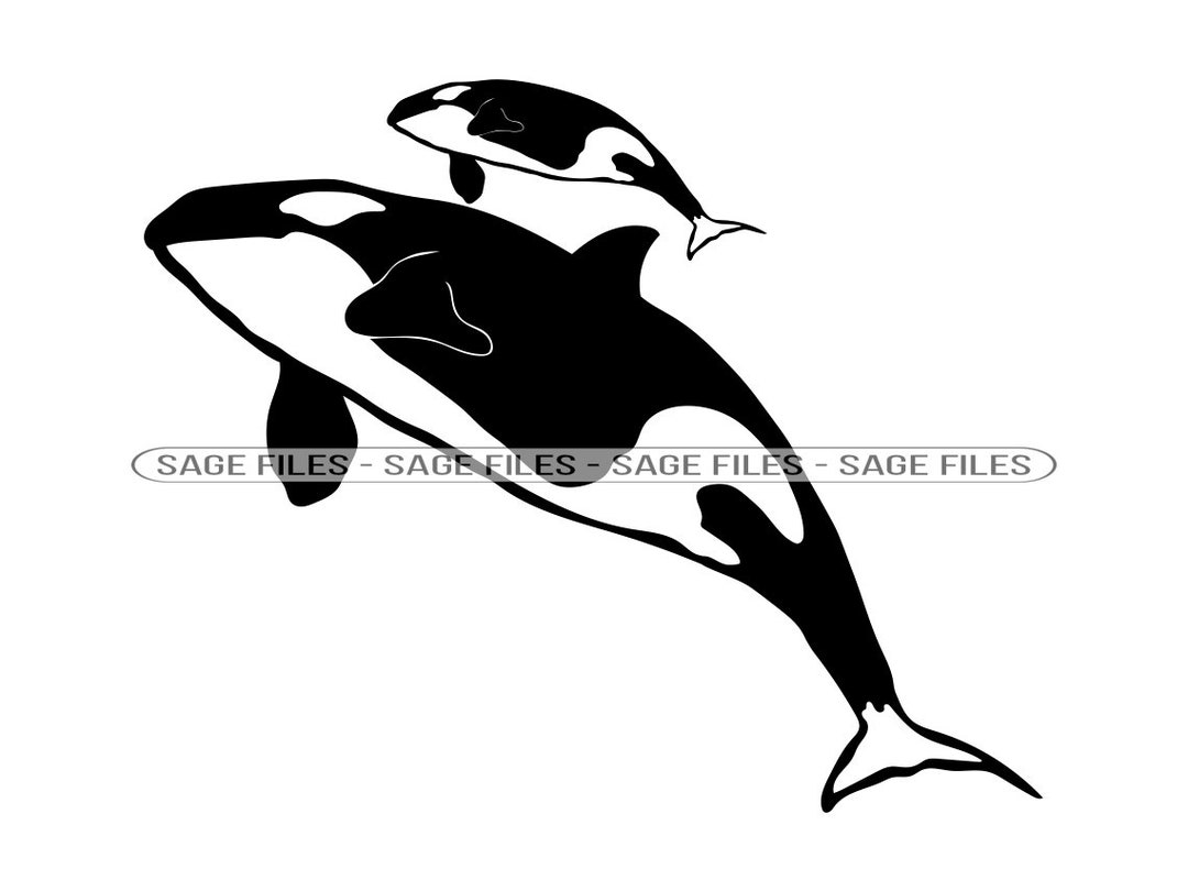 Orca AkuAページ latest?cb=20240105175535