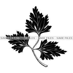 Könnte beinhalten: Eine schwarz-weiße Silhouette eines Petersilien-Zweigs mit drei Blättern.