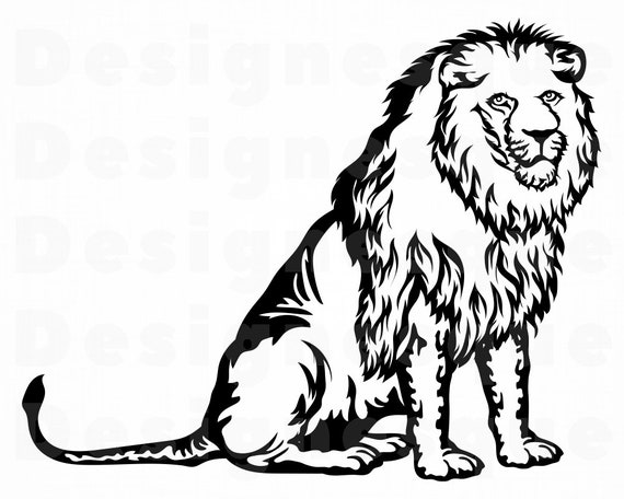610+ Barbary Lion Photos Stock Photos, Pictures & Royalty-Free Images -  iStock