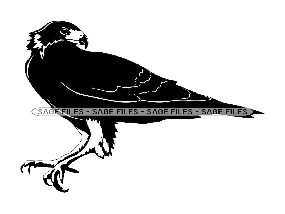 Hawk 6 SVG Hawk SVG Hawk PNG Hawk Design Hawk Clipart - Etsy