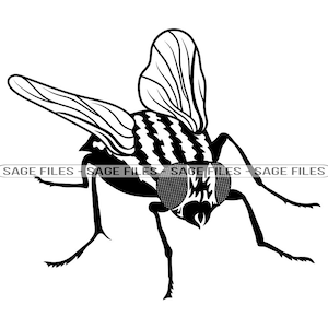 Fly #7 SVG, Fly Svg, Flies Svg, Insect Svg, Fly Clipart, Fly Files for Cricut, Fly Cut Files For Silhouette, Fly Png, Fly Dxf