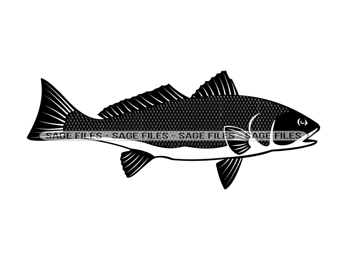 Red Drum Fish SVG Fishing Svg Fish Svg Red Drum Fish Etsy Canada