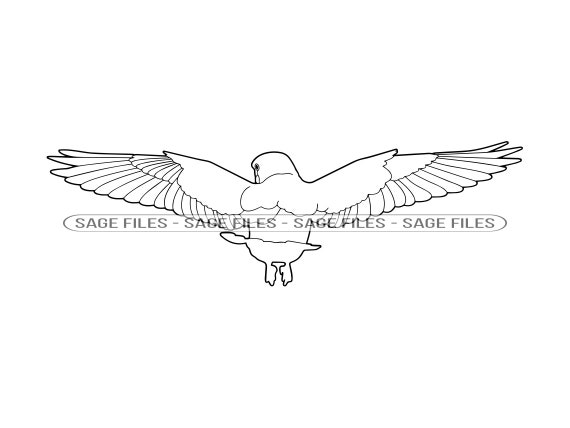 Flying Bird Outline SVG Bird Svg Flying Bird Clipart Flying - Etsy