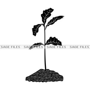 Könnte beinhalten: Schwarze Silhouette eines kleinen Baumes mit Blättern, die aus dem Boden wachsen.