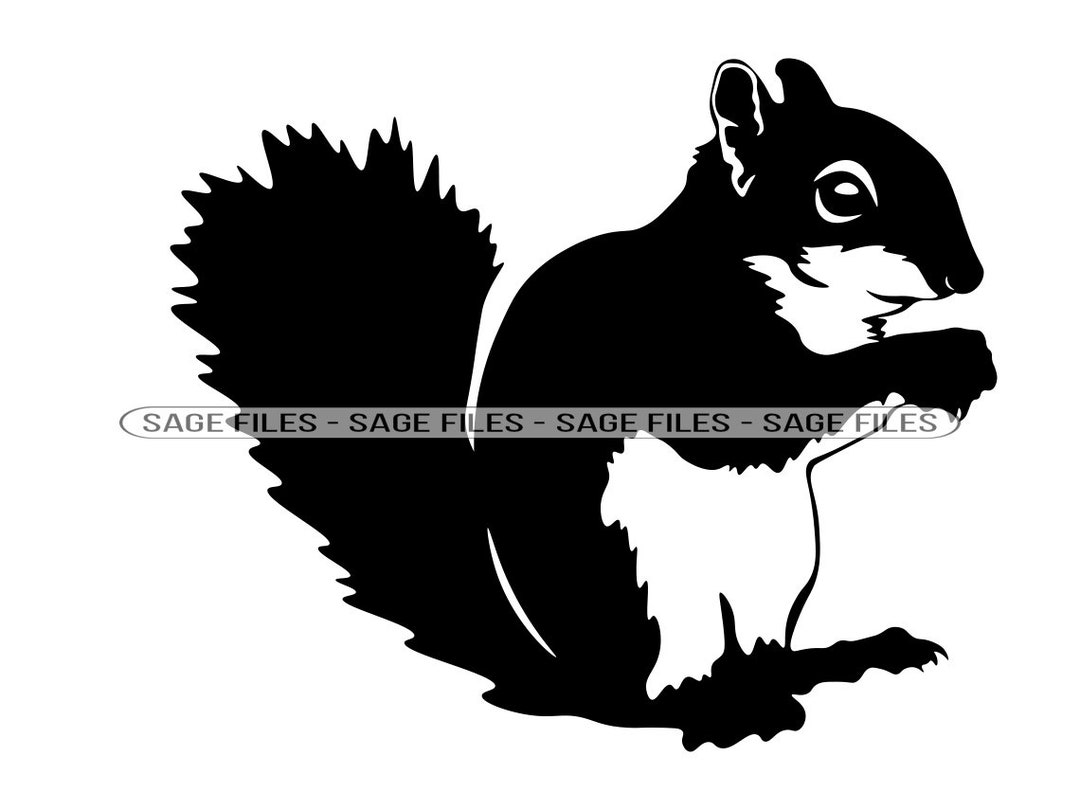 Squirrel #6 SVG, Squirrel SVG, Squirrel PNG, Squirrel Design, Squirrel ...