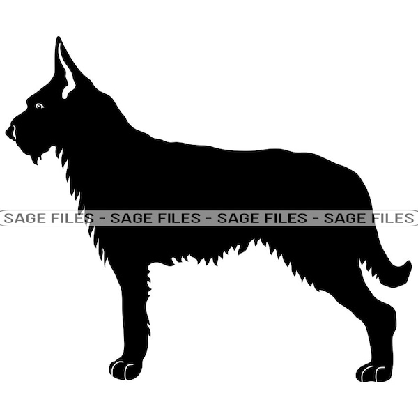 Berger Picard SVG, Dog Svg, Berger Picard Clipart, Berger Picard Files for Cricut, Berger Picard Cut Files For Silhouette, Png, Dxf