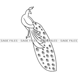 Peacock Outline #2 SVG, Peacock SVG, Peafowl Svg, Peacock Clipart, Peacock Files for Cricut, Peacock Cut Files For Silhouette, Png, Dxf