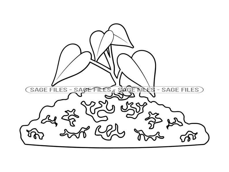 Plant Outline SVG Sprout SVG Gardening Svg Plant Clipart Etsy