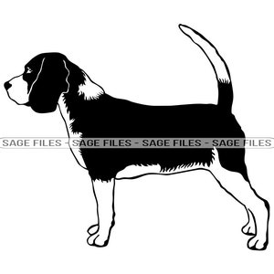 Beagle SVG, Dog Svg, Beagle Clipart, Beagle Files for Cricut, Beagle Cut Files For Silhouette, Png, Dxf