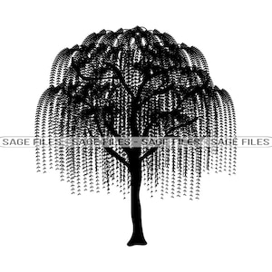 Willow Tree SVG, Tree Svg, Willow Tree Clipart, Willow Tree Files for Cricut, Willow Tree Cut Files For Silhouette, Png, Dxf