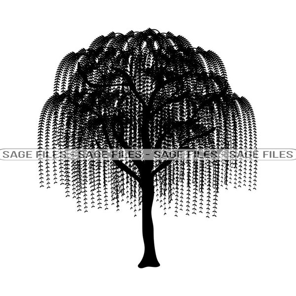Willow Tree SVG, Tree Svg, Willow Tree Clipart, Willow Tree Files for Cricut, Willow Tree Cut Files For Silhouette, Png, Dxf