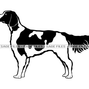 Ierse rood-witte setter SVG, hond Svg, Ierse rode en witte setter clipart, bestanden voor cricut, geknipte bestanden voor silhouet, png, dxf