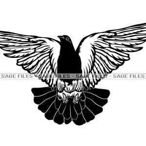 Duif SVG, Duif Svg, Vogel Svg, Pigeon Clipart, Pigeon Files voor Cricut, Pigeon Cut Files voor Silhouet, Png, Dxf