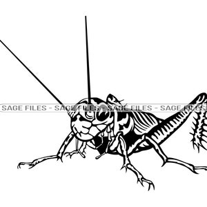 Cricket SVG, Cricket Clipart, Cricket Files for Cricut, Cricket Cut Files For Silhouette, Png, Dxf