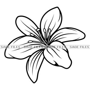Lily Flower #3 SVG, Lily Flower Svg, Lily SVG, Flower Svg, Lily Flower Clipart, Arquivos para Cricut, Arquivos de corte para silhueta, Png, Dxf,