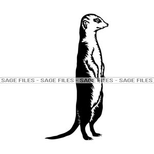Erdmännchen #2 SVG, Erdmännchen SVG, Safari Tiere Svg, Erdmännchen Clipart, Erdmännchen Cut Dateien für Silhouette, Png, Dxf