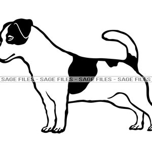 Jack Russell Terrier SVG, Dog Svg, Jack Russell Terrier Clipart, Files for Cricut, Cut Files For Silhouette, Png, Dxf
