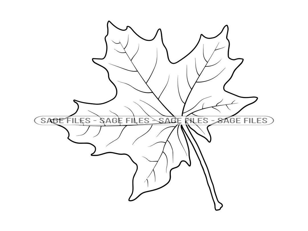 Maple Leaf Outline Icon Graphic by sargatal · Creative Fabrica