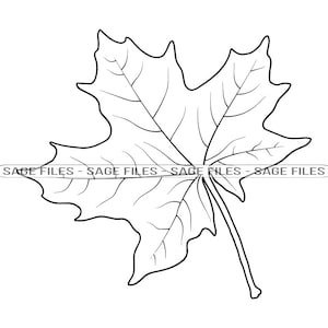 AhornBlatt Umriss #3 SVG, AhornBlatt Svg, Herbst, AhornBlatt Clipart, AhornBlatt Dateien für Cricut, Cut Files für Silhouette, Png, Dxf