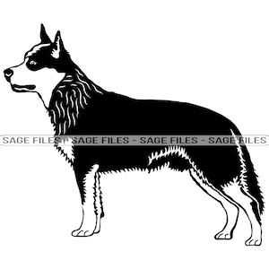 Australian Stumpy Tail Cattle Dog SVG, Dog Svg, Clipart, Files for Cricut, Cut Files For Silhouette, Png, Dxf