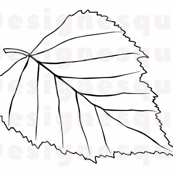 Birch Leaf Outline SVG, Birch Tree Leaf Svg, Birch Leaf Clipart, Birch Leaf Files for Cricut, Leaf Cut Files For Silhouette, Png, Dxf