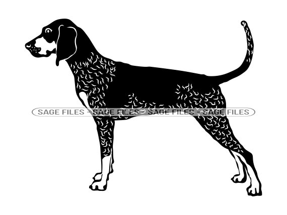 Bluetick Coonhound SVG Dog Svg Bluetick Coonhound Clipart - Etsy UK