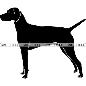 Vizsla SVG, Hund SVG, Vizsla Clipart, Vizsla Dateien für Cricut, Vizsla Cut Dateien für Silhouette, Png, Dxf