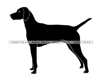 Vizsla SVG, Dog Svg, Vizsla Clipart, Vizsla Files for Cricut, Vizsla Cut Files For Silhouette, Png, Dxf