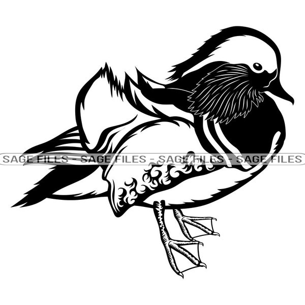 Mandarin Duck #2 SVG, Duck SVG, Mandarin Duck Clipart, Mandarin Duck Files for Cricut, Duck Cut Files For Silhouette, Png, Dxf