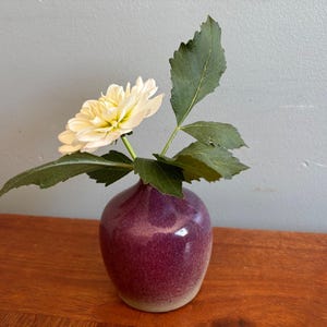 May include: A small, round, purple vase contains a cream-coloured flower and green leaves. The vase has a glossy finish and a light-coloured base. The flower is in full bloom, with multiple petals.