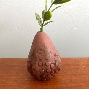 Peut inclure: Un vase en forme de poire en terre cuite avec une surface texturée et une petite plante verte à l'intérieur.