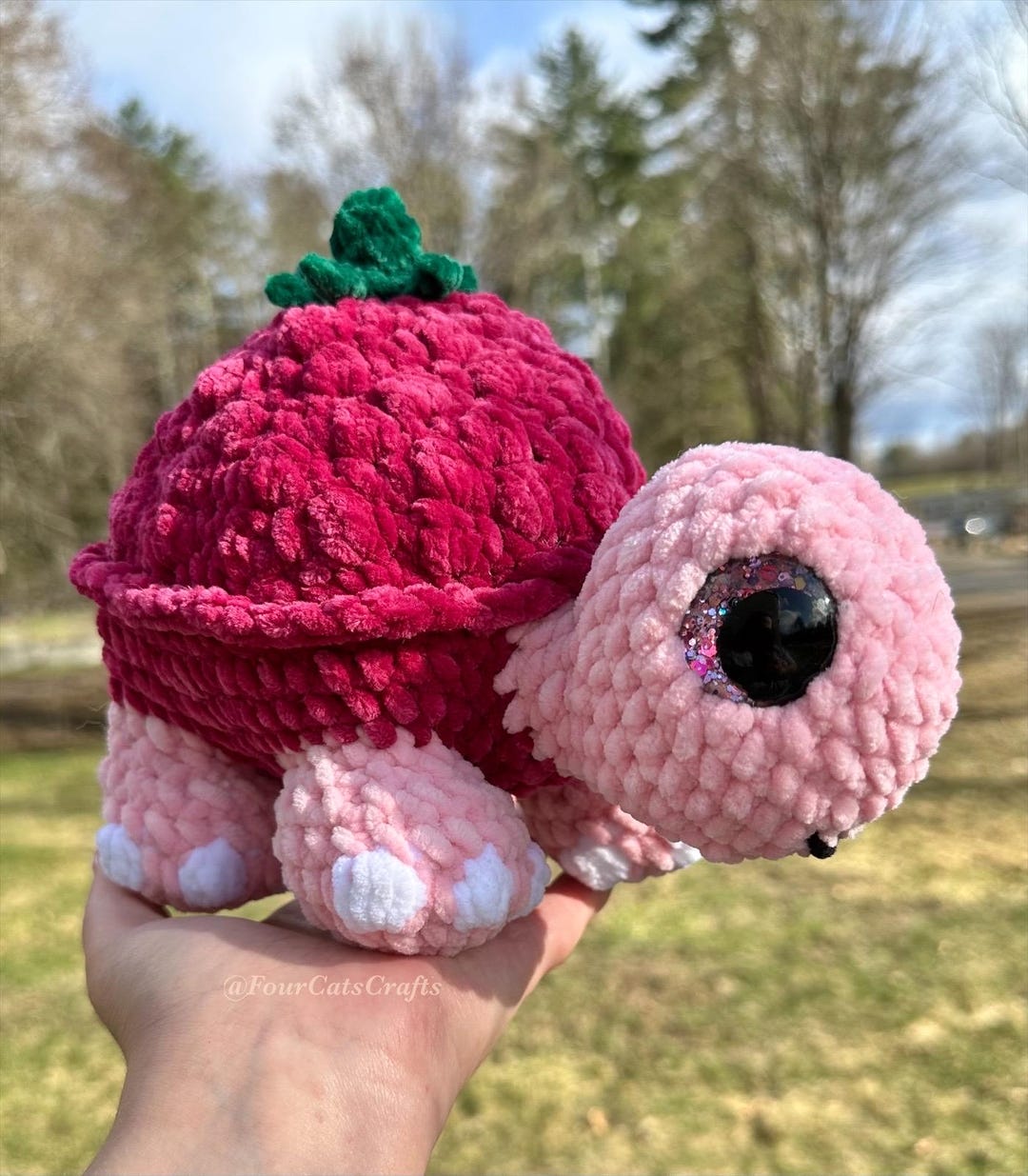 Turtle W Raspberry Larry the Land Turtle- Raspberry Larry - Etsy