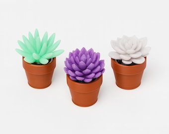 Spinning Succulent Fidget Toy – Handmade Desk Spinner