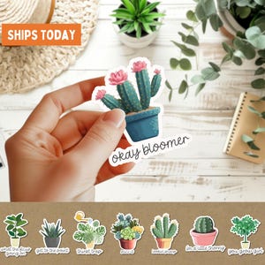 Stickers vetplant woordspeling, verpakking van 8 stuks, grappig cadeau plantenliefhebber, cactus waterfles beker sticker, laptopsticker, schattige kamerplant tuin