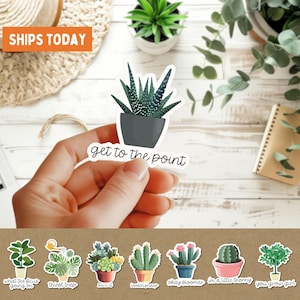 Stickers vetplant woordspeling, verpakking van 8 stuks, grappig cadeau plantenliefhebber, cactus waterfles beker sticker, laptopsticker, schattige kamerplant tuin