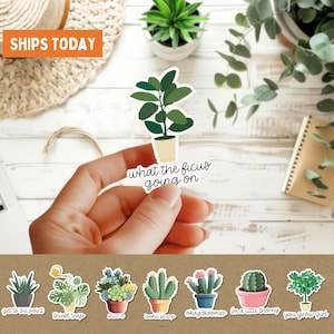 Pegatinas de juego de palabras de plantas suculentas, paquete de 8 piezas, regalo divertido para amantes de las plantas, pegatina para vaso de botella de agua de cactus, pegatina para computadora portátil, linda planta de interior de jardín