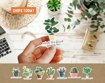 Succulent Plant Pun Stickers, 8pc pack, funny plant lover gift, cactus water bottle tumbler sticker, laptop sticker, cute garden houseplant