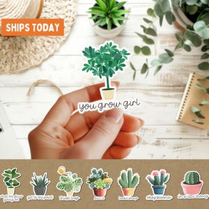 Stickers vetplant woordspeling, verpakking van 8 stuks, grappig cadeau plantenliefhebber, cactus waterfles beker sticker, laptopsticker, schattige kamerplant tuin